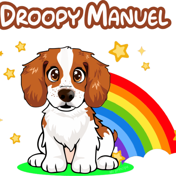 DROOPY MANUEL