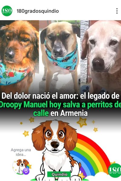 WhatsApp Image 2026-01-29 at 11.13.50 AM